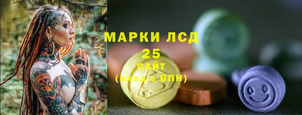прущие крисы Каменка