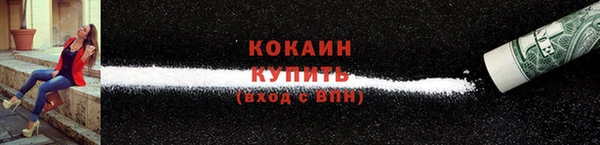 прущие крисы Каменка