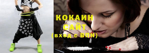 прущие крисы Каменка