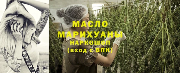 прущие крисы Каменка