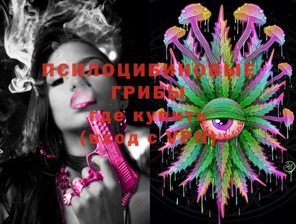 круглые Каменногорск