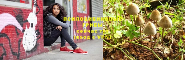 круглые Каменногорск
