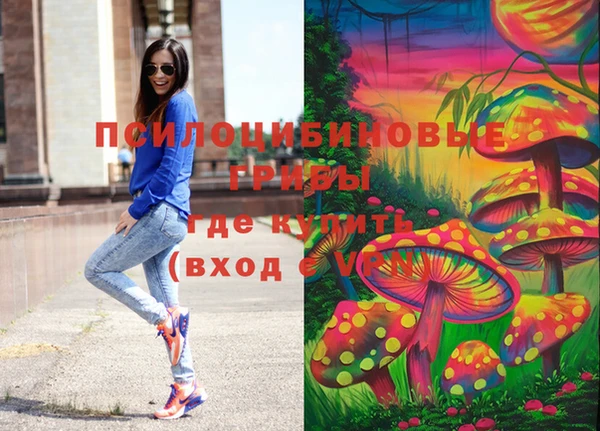круглые Каменногорск