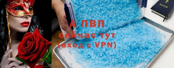 прущие крисы Каменка